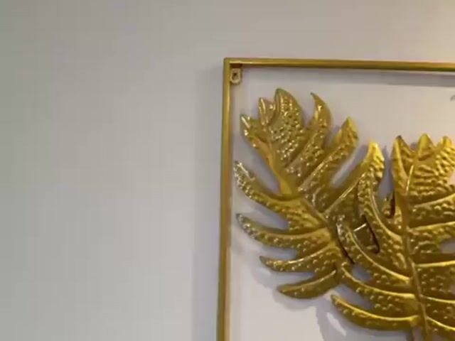 Video Image 1