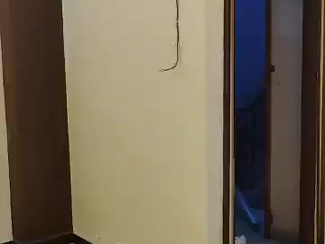 Video Image 1