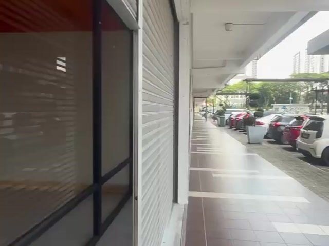Video Image 1