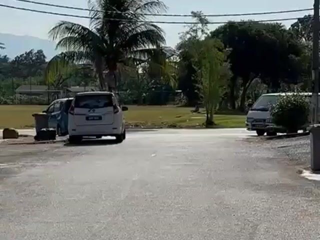 Video Image 1