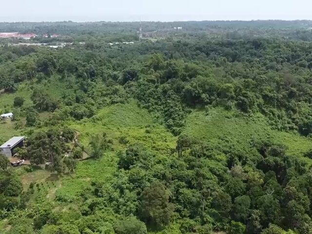 Video Image 1