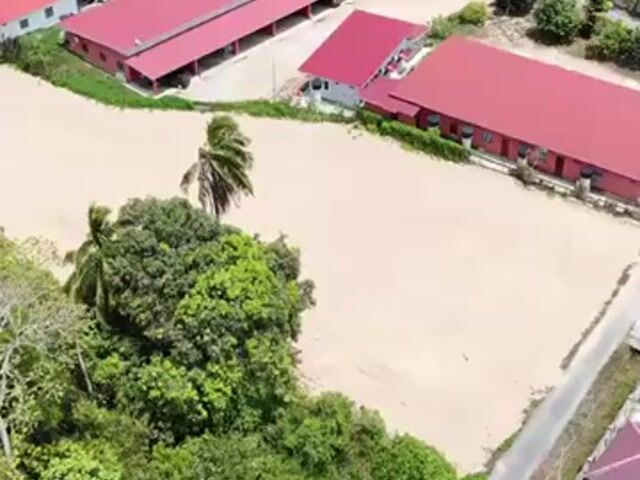 Video Image 1