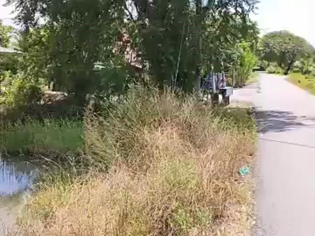 Video Image 1