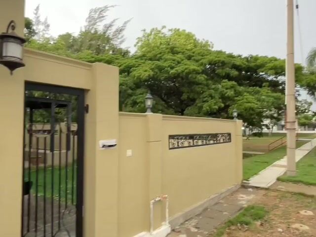 Video Image 1