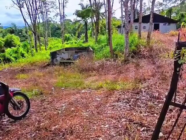Video Image 1
