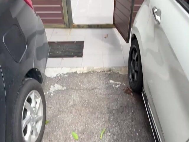 Video Image 1