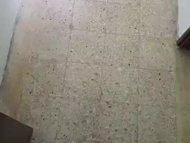Video Image 1
