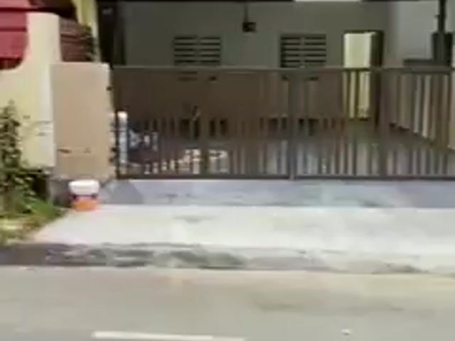 Video Image 1
