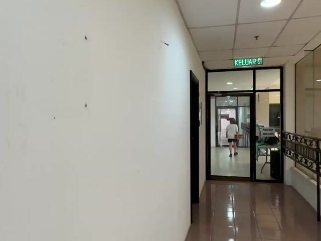 Video Image 1