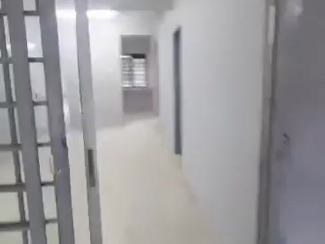 Video Image 1