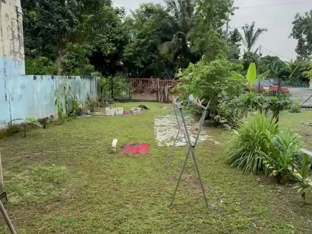 Video Image 1