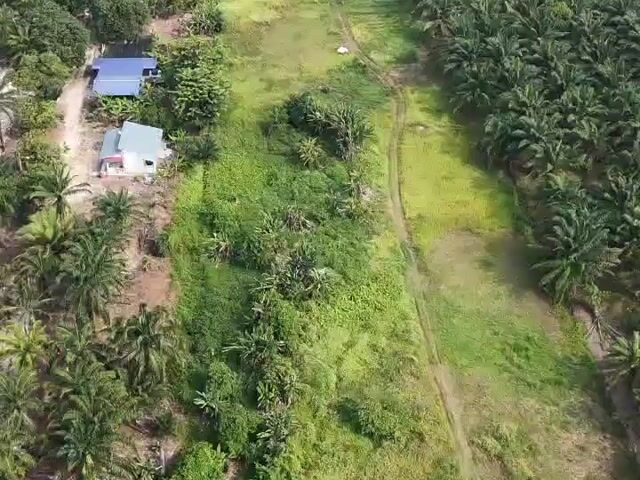 Video Image 1