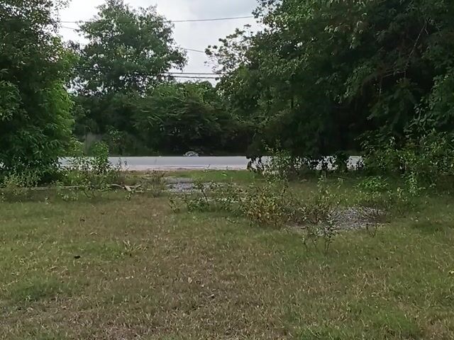 Video Image 1