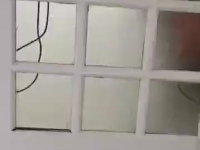 Video Image 1