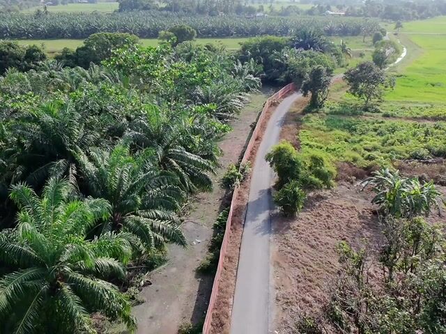 Video Image 1