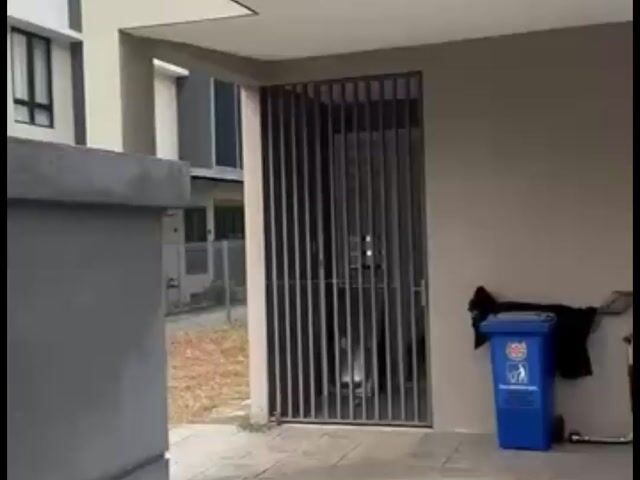 Video Image 1