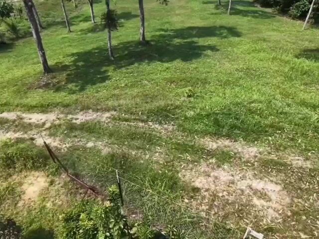 Video Image 1