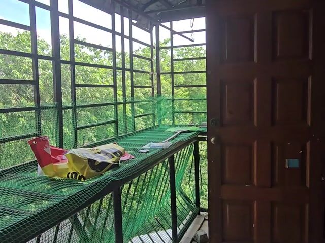 Video Image 1
