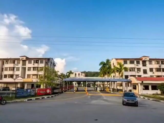 Video Image 1