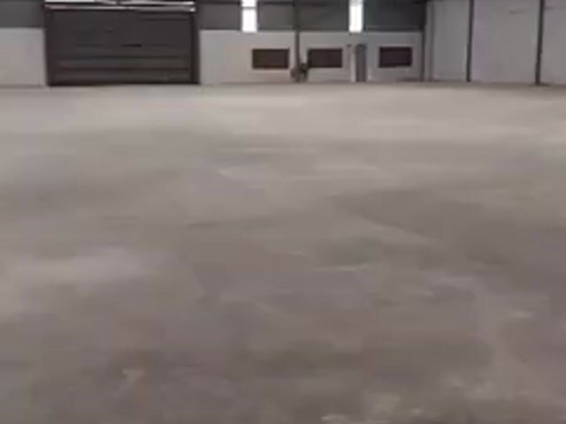 Video Image 1