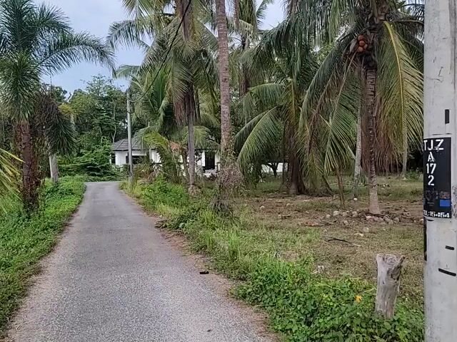 Video Image 1
