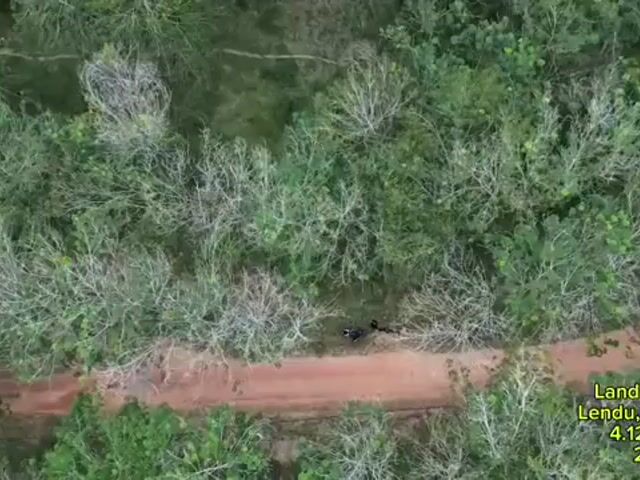 Video Image 1