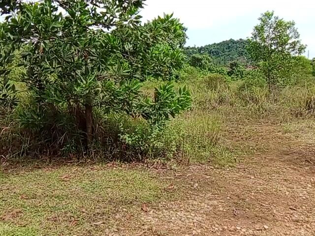 Video Image 1