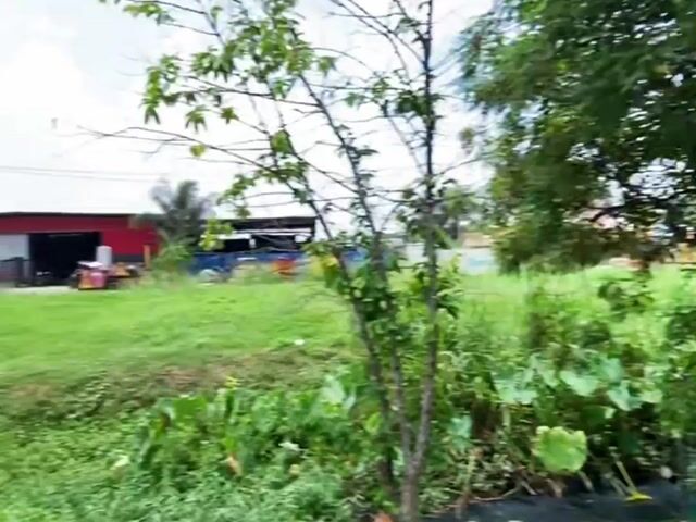 Video Image 1