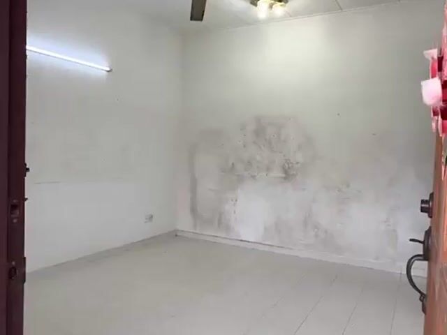 Video Image 1