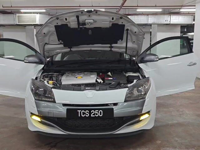 2012 Renault MEGANE 2.0 SPORT 250 CUP SE (M) - 1