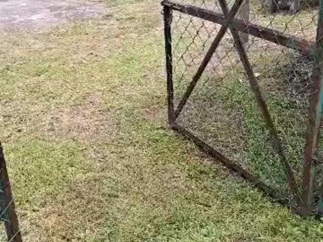 Video Image 1