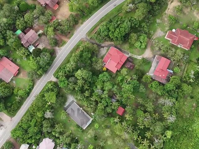 Video Image 1