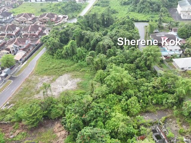 Video Image 1