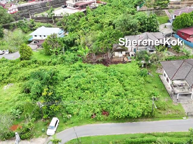 Video Image 1