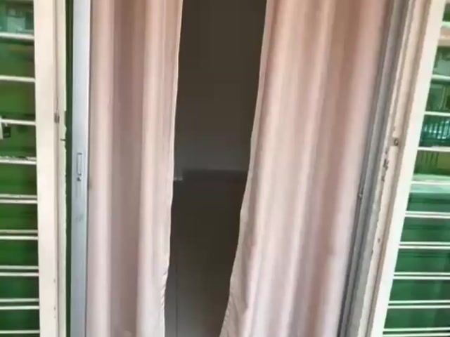 Video Image 1