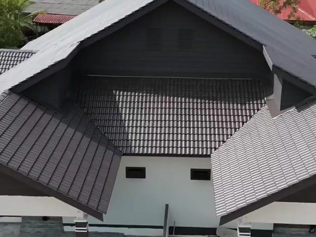 Video Image 1