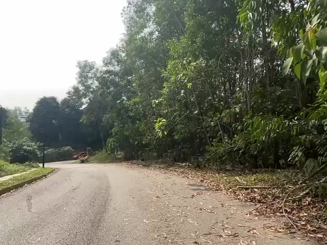 Video Image 1