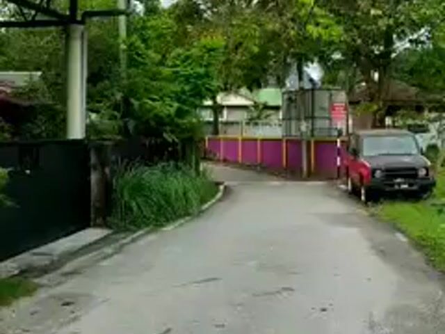 Video Image 1