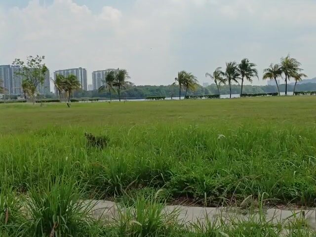 Video Image 1