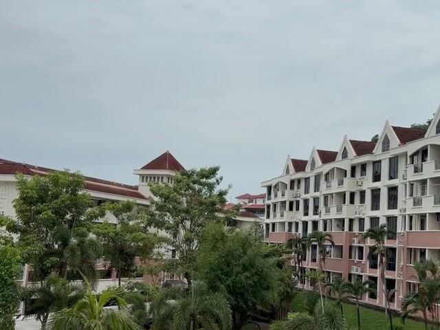 Video Image 1