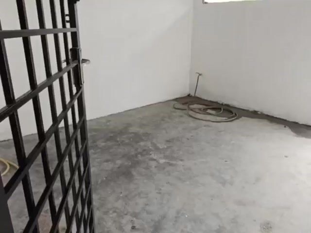 Video Image 1