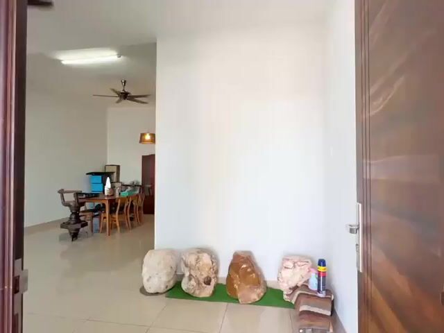 Video Image 1