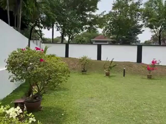 Video Image 1