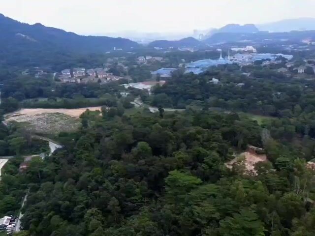 Video Image 1
