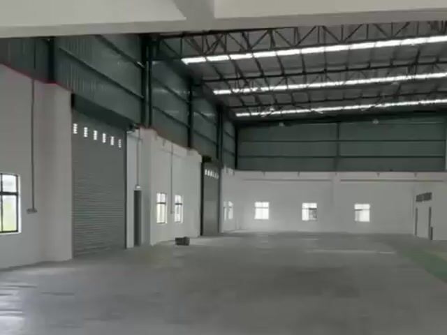 Video Image 1