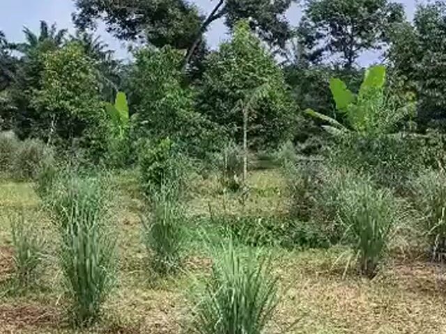 Video Image 1