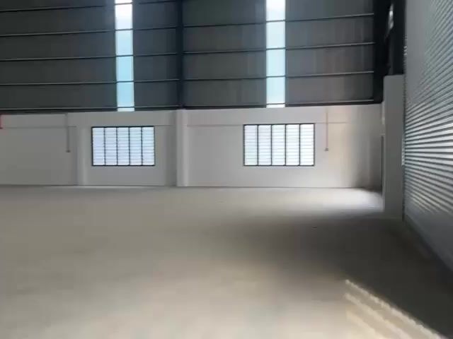 Video Image 1