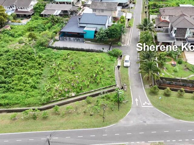 Video Image 1