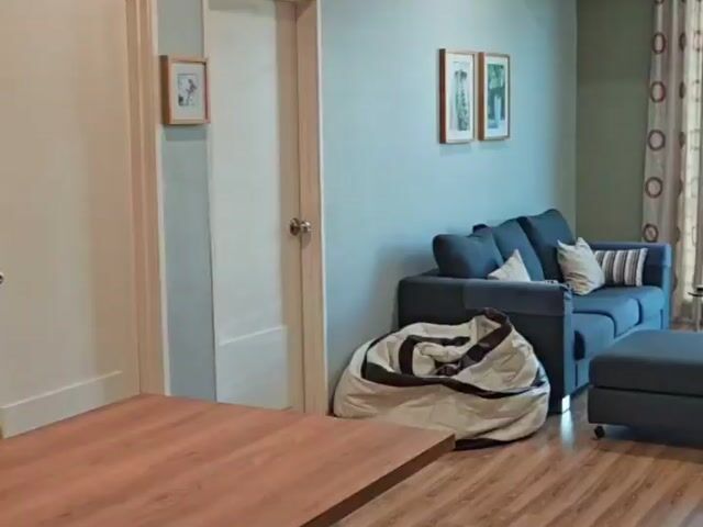 Video Image 1