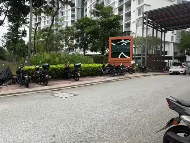 Video Image 1